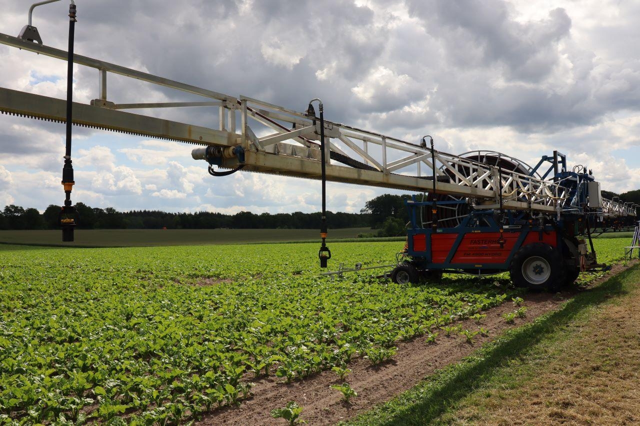 Landwirtschaftliche Maschine beregnet grünes Feld.