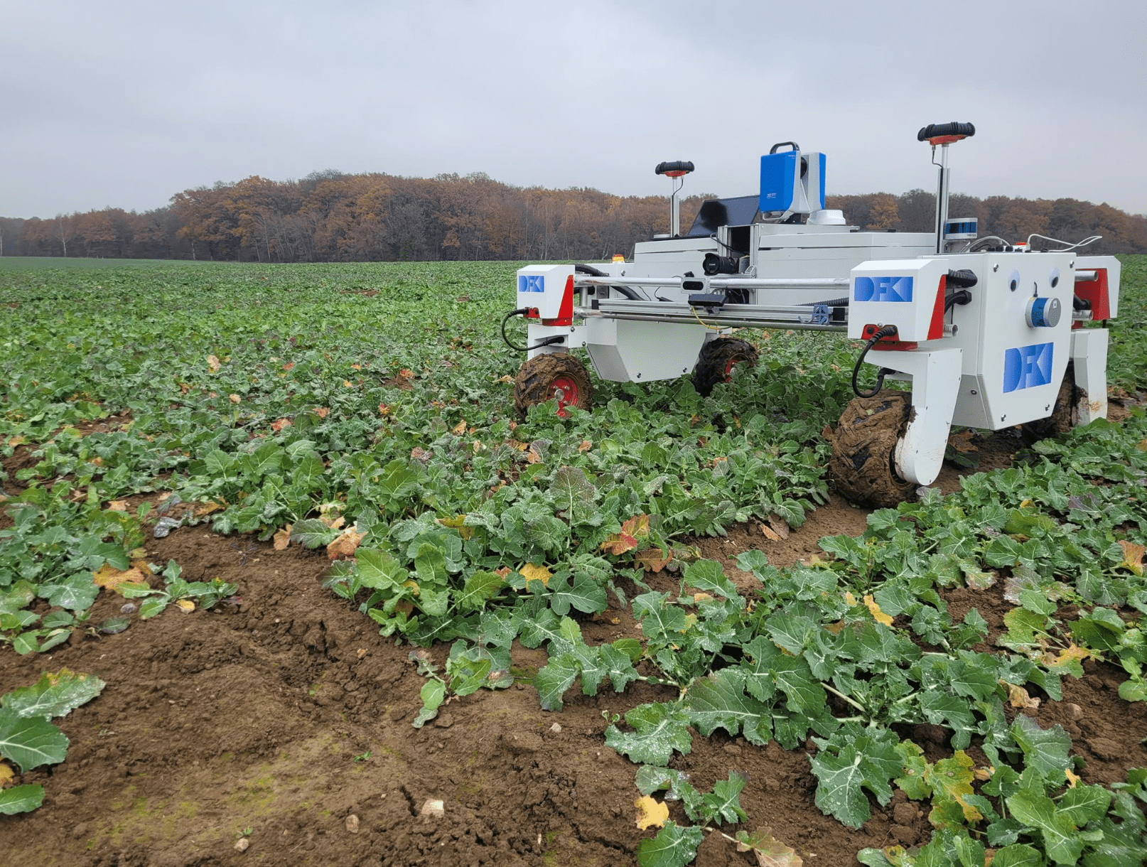 Landwirtschaftliches Fahrzeug fährt auf einem Feld
