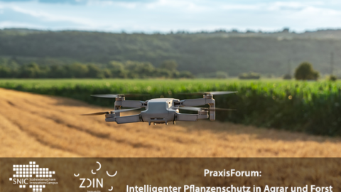 Eine Drohne fliegt über einem Feld, ein Wals ist im Hintergrund