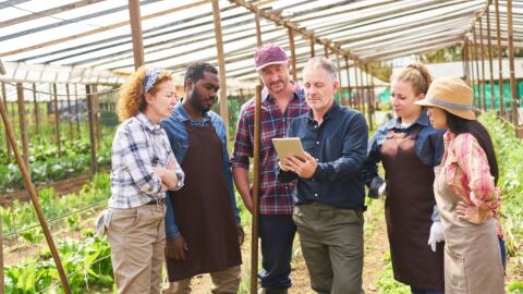 Sechs Personen stehen auf einem Feld und blicken auf ein Tablet.