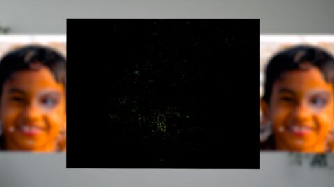 Schwarzes Bild und zwei Gesichter