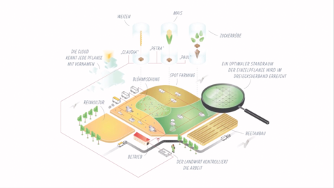 Eine gezeichnete Übersicht über ein Feld, dass Sport Farming nutzt