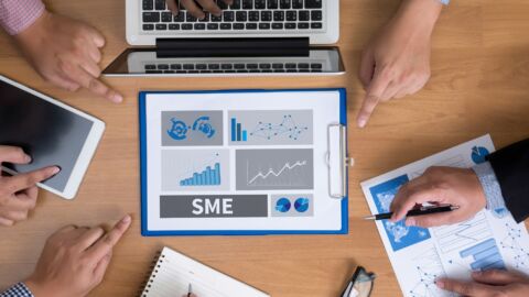 Vorschau-Bild zu InDUI: Innovationsindikatorik für den Doing-Using-Interacting-Mode von KMU