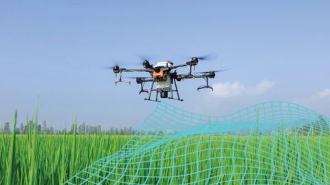 Drohne fliegt über Feld