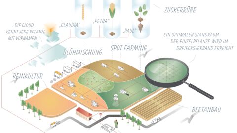 Eine gezeichnete Übersicht über einen Betrieb mit Sport Farming