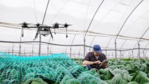 Vorschau-Bild zu prototypes4soil2data: Modulare mobile Bodensensorik-Technologien