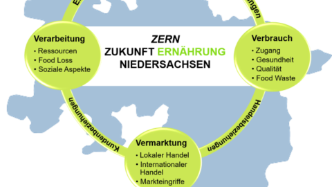 Vorschau-Bild zu Initialprojekt Tier und Grünland im Forschungsverbund ZERN