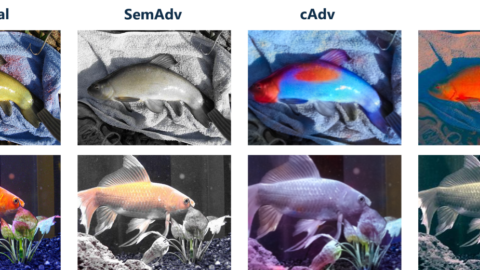 Fische in einer Reihe in verschiedenen Farben