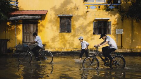 Vorschau-Bild zu Pilotprojekt "KI basiertes Hochwasserfrühwarnsystem für die Altstadt Goslar"