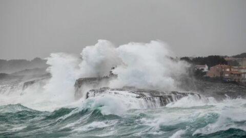 Vorschau-Bild zu RADiuS: Real-time Anomaly Detection in Aquatic Systems