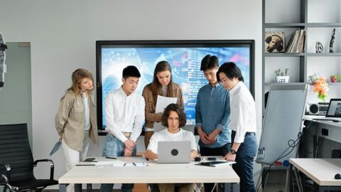 Vorschau-Bild zu NumVis: Enhanced Learning through Visualisation of Numerical Simulation