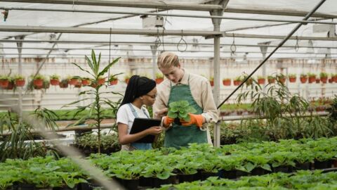 Vorschau-Bild zu AgrifoodTEF