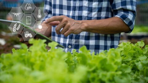 Vorschau-Bild zu agrifoodTEF-DE