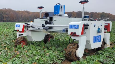 Bild eines Feldroboters auf dem Feld