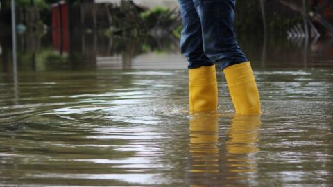 Person in gelben Gummistiefeln steht in Wasser, das bis zur Wade ragt.