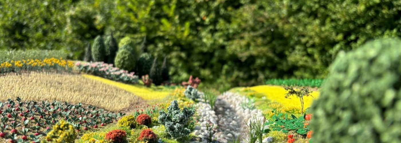 Bepflanzung in einem Garten
