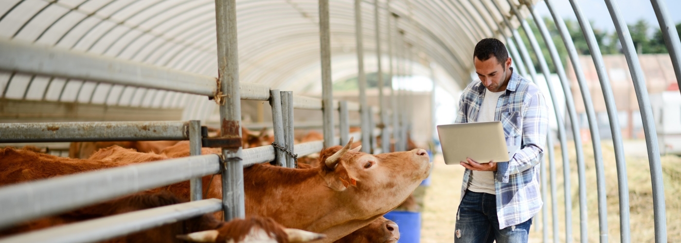 Titelbild zu Automatisiert erfassbare Daten in der Tierhaltung