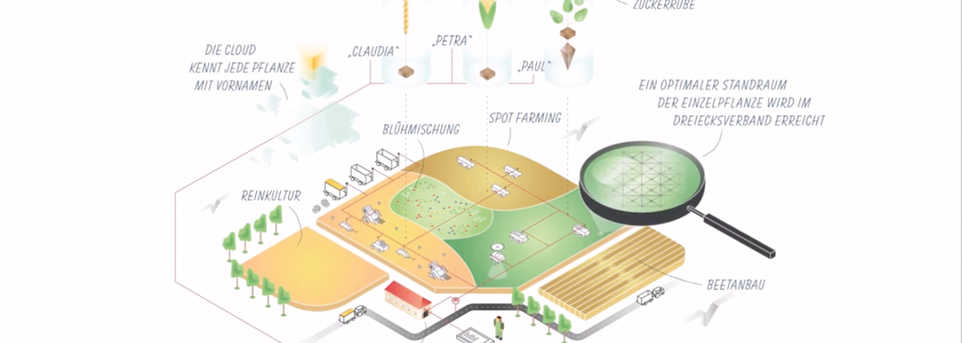 Eine gezeichnete Übersicht über ein Feld, dass Sport Farming nutzt
