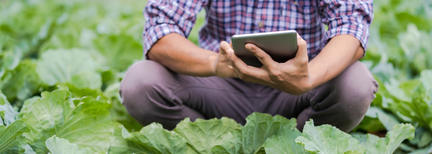 Person mit Tablet hockt in Feld
