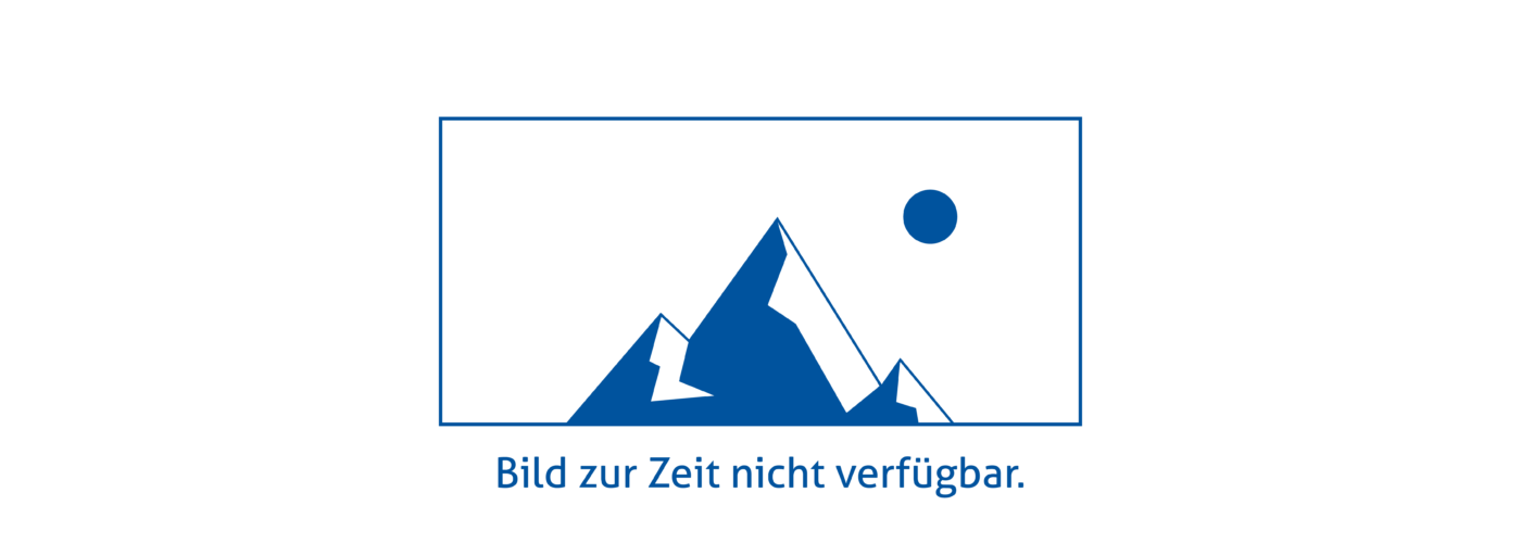Titelbild zu DEiSy - Durchgängige virtuelle Entwicklungs- und Prüfplattform für vernetzte autonome Fahrzeuge in cyber-physischen Systemen