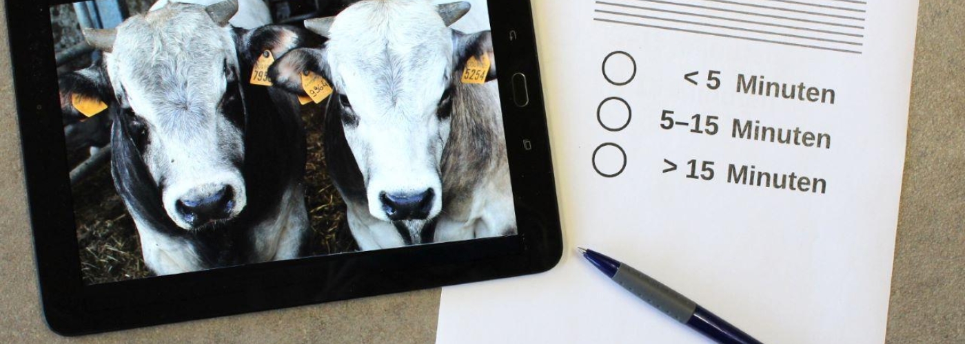Tablet mit Bild von Kühen und ein Fragebogen liegen auf einem Tisch