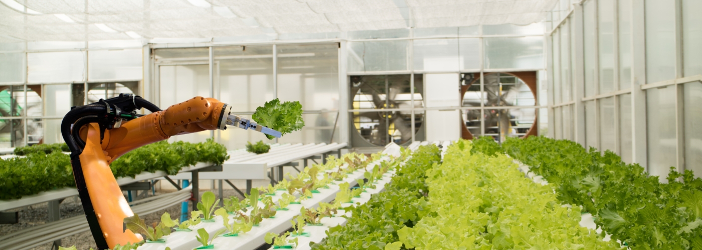 Roboterarm in einem Gewächshaus