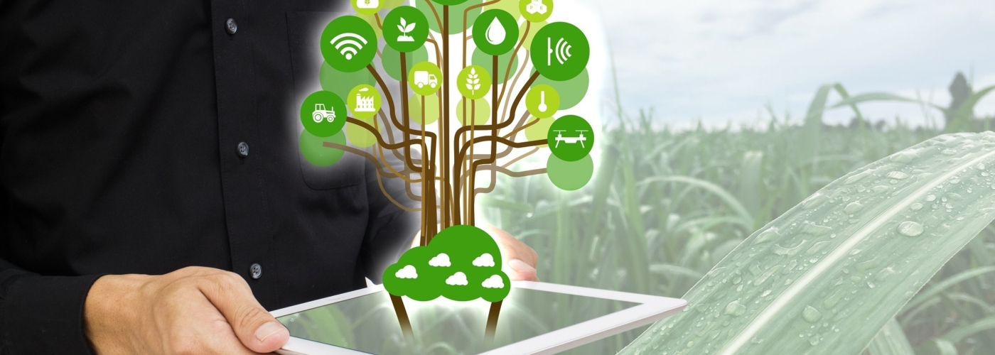 Mann hält virtuellen kleinen Baum