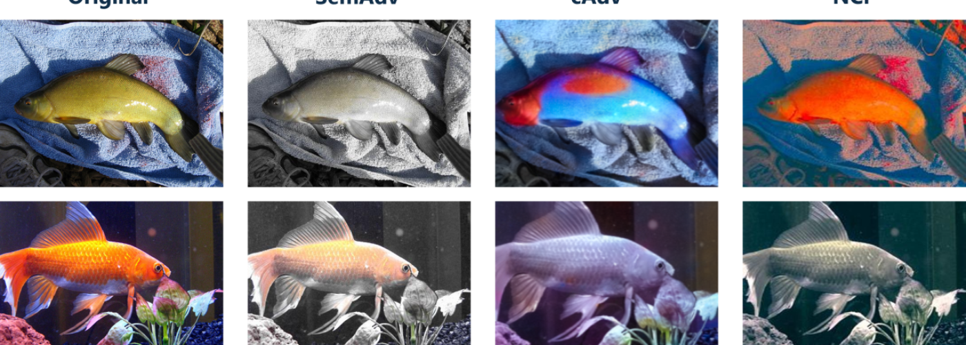 Fische in einer Reihe in verschiedenen Farben
