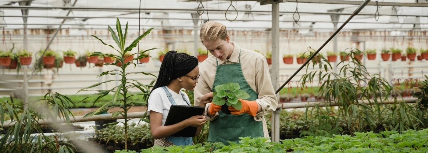 Titelbild zu AgrifoodTEF