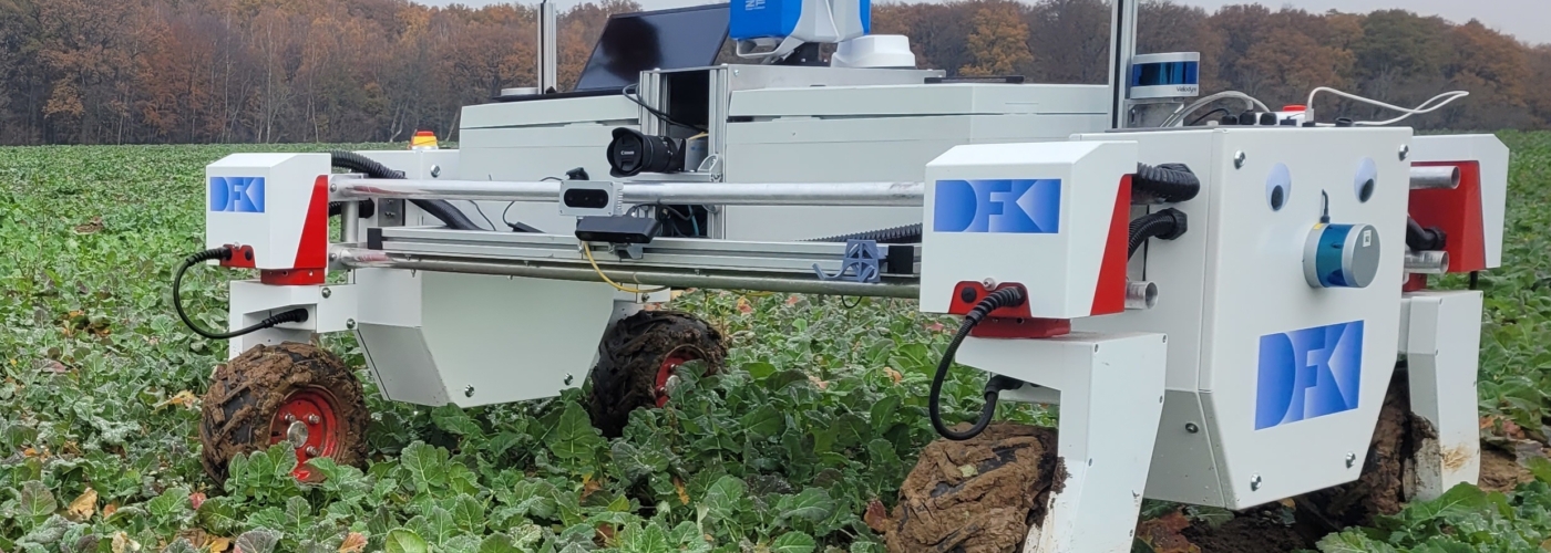 Bild eines Feldroboters auf dem Feld
